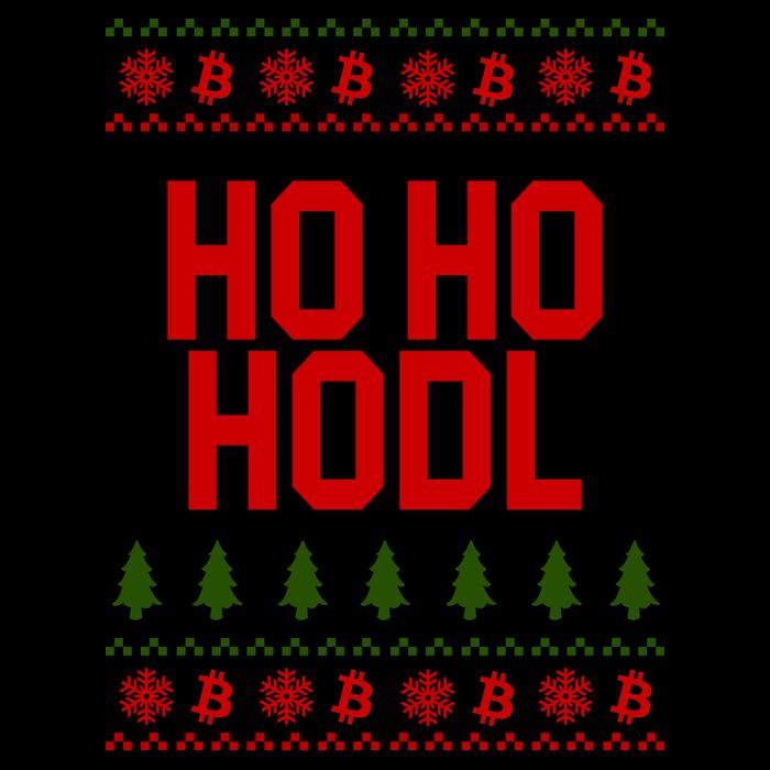 Santa Ho Ho Hodl Funny Crypto Ugly Christmas Mug