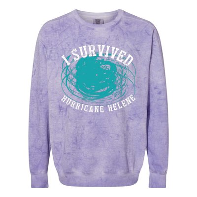 Survived Hurricane Helene 2024 Florida Meme Colorblast Crewneck Sweatshirt