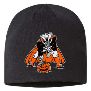 Stance Headless Horseman Pumpkin Halloween Sustainable Beanie