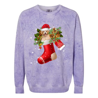 Santa Havanese In Christmas Sock Pajama Meaningful Gift Colorblast Crewneck Sweatshirt