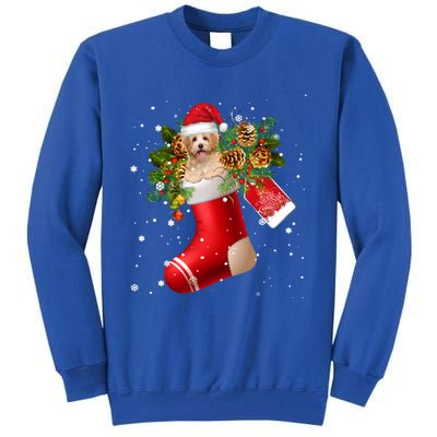 Santa Havanese In Christmas Sock Pajama Meaningful Gift Tall Sweatshirt