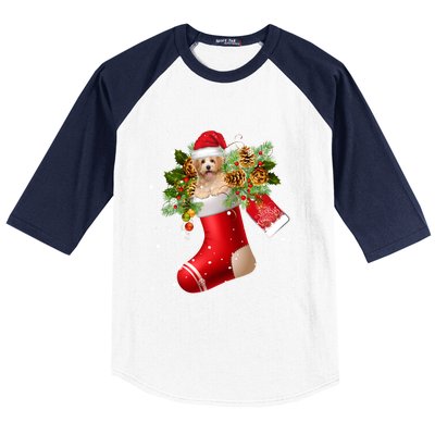 Santa Havanese In Christmas Sock Pajama Meaningful Gift Baseball Sleeve Shirt