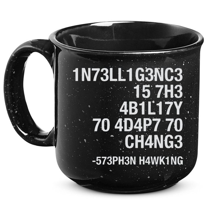 Stephen Hawking Intelligence Is The Ability To Adapt To Change Funny 15oz Campfire Ceramic Mug