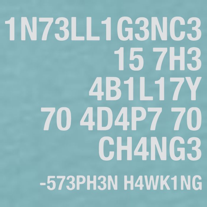 Stephen Hawking Intelligence Is The Ability To Adapt To Change Funny Sueded Cloud Jersey T-Shirt