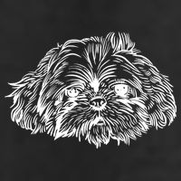 Shih Tzu Dog Beanie
