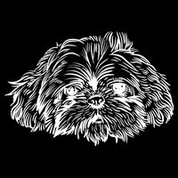 Shih Tzu Dog Visor