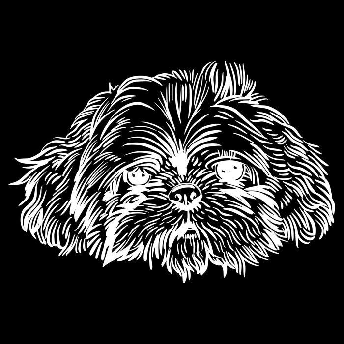 Shih Tzu Dog Visor