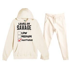 Sagittarius Horoscope Level Of Savage Zodiac Traits Pun Gift Premium Hooded Sweatsuit Set