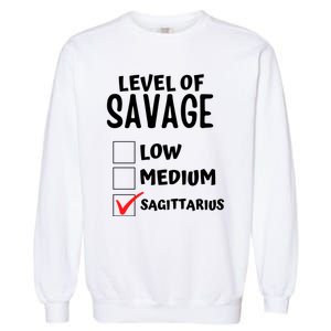 Sagittarius Horoscope Level Of Savage Zodiac Traits Pun Gift Garment-Dyed Sweatshirt