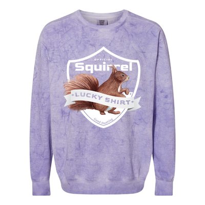 Squirrel Hunter Lucky Gift For Squirrel Hunting Funny Gift Colorblast Crewneck Sweatshirt