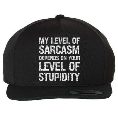 Sarcastic Humor, My Level Of Sarcasm, Funny Sarcastic Quote Wool Snapback Cap