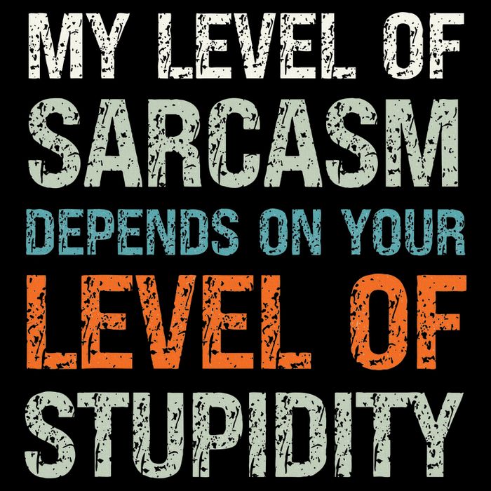 Sarcastic Humor My Level Of Sarcasm Funny Sarcastic Quote 7-Panel Snapback Hat