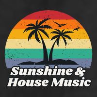 Sunshine & House Music For Raver Edm Adult Drive Performance Visor