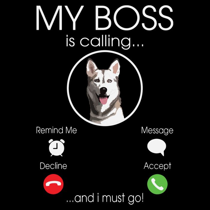 Siberian Husky My Boss Hoodie