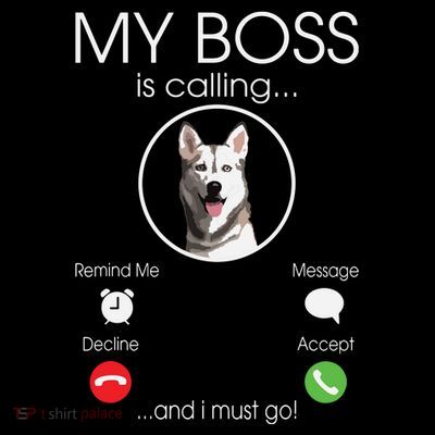 Siberian Husky My Boss T-Shirt