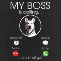 Siberian Husky My Boss Golf Towel