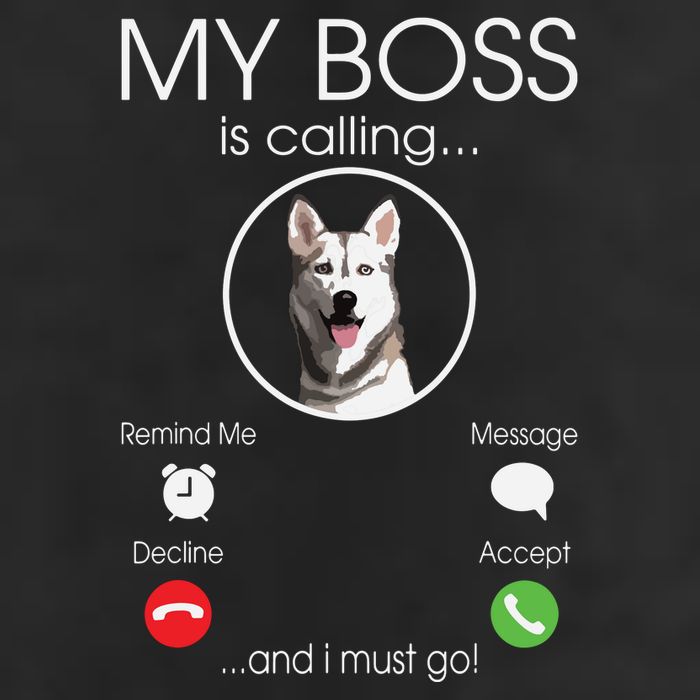 Siberian Husky My Boss Golf Towel