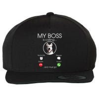 Siberian Husky My Boss Wool Snapback Cap