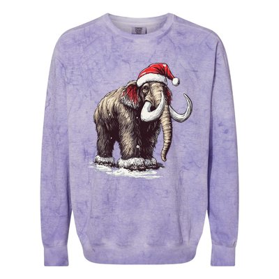 Santa Hat On Christmas Mammoth For Funny Colorblast Crewneck Sweatshirt