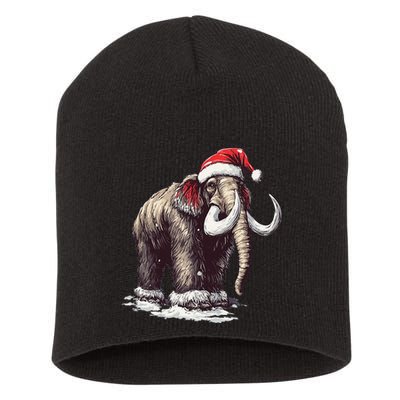 Santa Hat On Christmas Mammoth For Funny Short Acrylic Beanie
