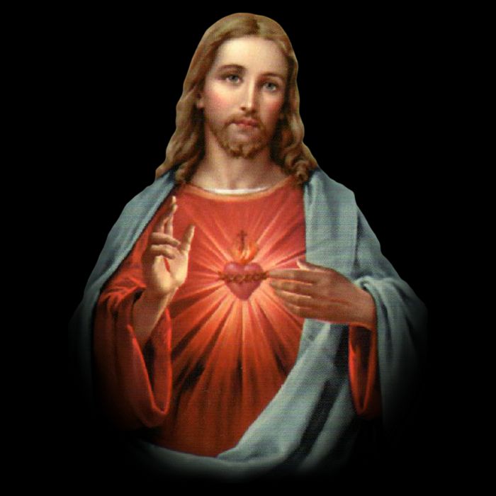 Sacred Heart Of Jesus Zip Tote Bag