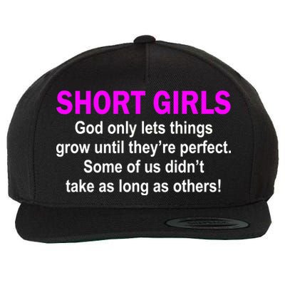 Short Girls Are Perfect Wool Snapback Cap