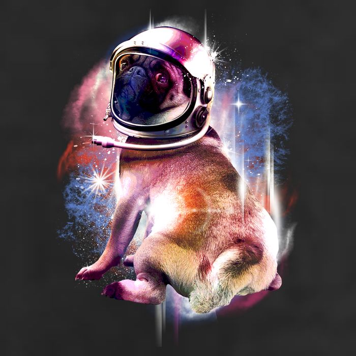 Space Hunger Pug Cool Comfort Performance Bucket Hat