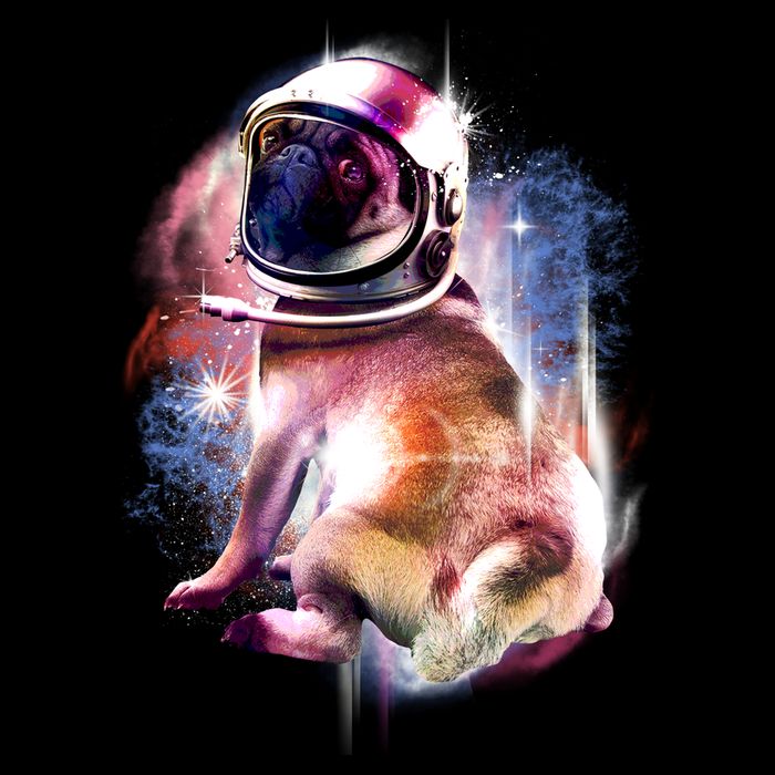 Space Hunger Pug Button