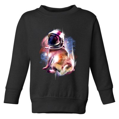 Space Hunger Pug Toddler Sweatshirt