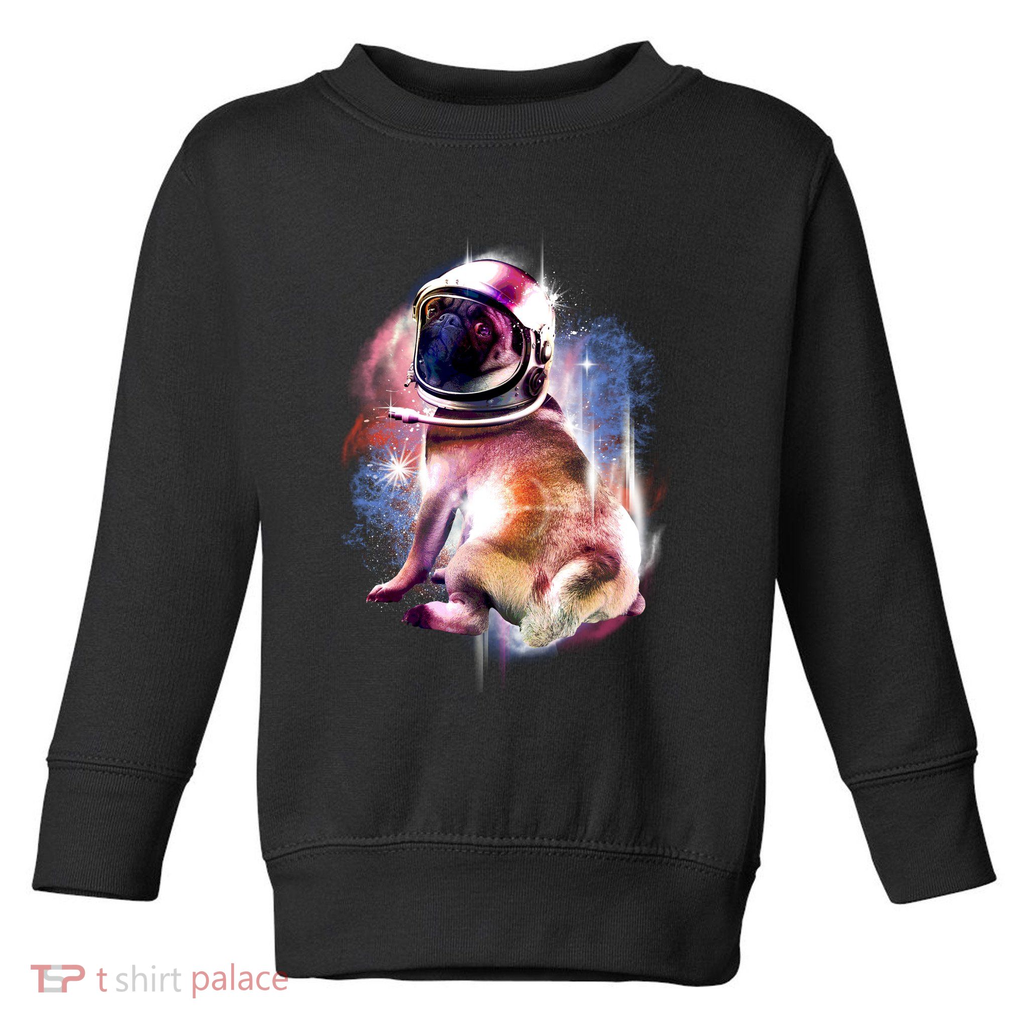 Space Hunger Pug Toddler Sweatshirt