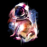 Space Hunger Pug Cropped Pullover Crew