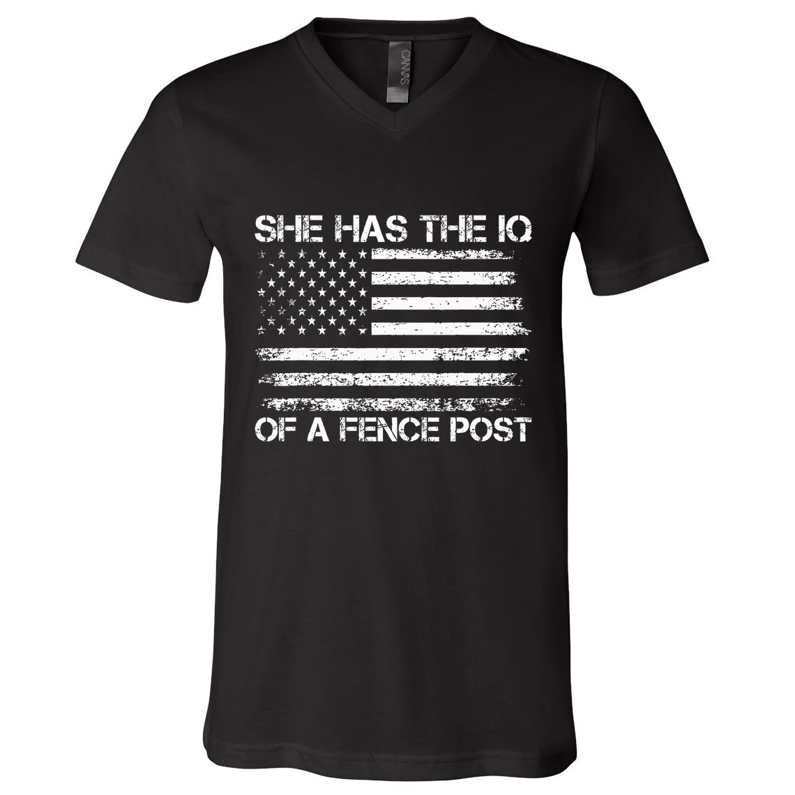 She Has The Iq Of A Fence Post Election Political V-Neck T-Shirt