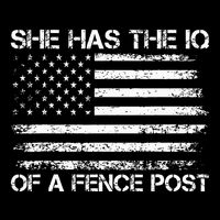 She Has The Iq Of A Fence Post Election Political Poster