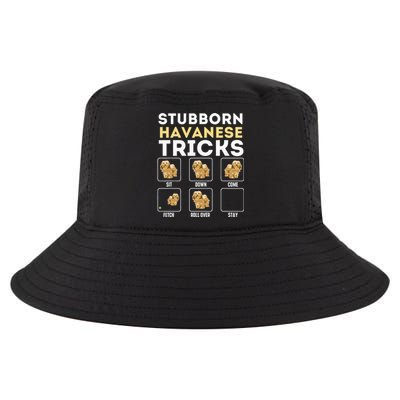 Stubborn Havanese Tricks Cuban Havaneser Havanezer Cool Comfort Performance Bucket Hat