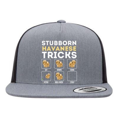 Stubborn Havanese Tricks Cuban Havaneser Havanezer Flat Bill Trucker Hat