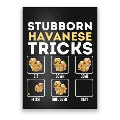 Stubborn Havanese Tricks Cuban Havaneser Havanezer Poster