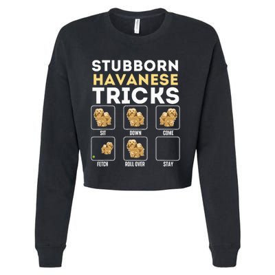 Stubborn Havanese Tricks Cuban Havaneser Havanezer Cropped Pullover Crew