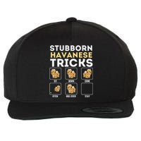 Stubborn Havanese Tricks Cuban Havaneser Havanezer Wool Snapback Cap