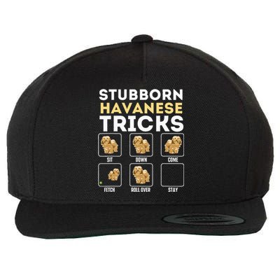 Stubborn Havanese Tricks Cuban Havaneser Havanezer Wool Snapback Cap