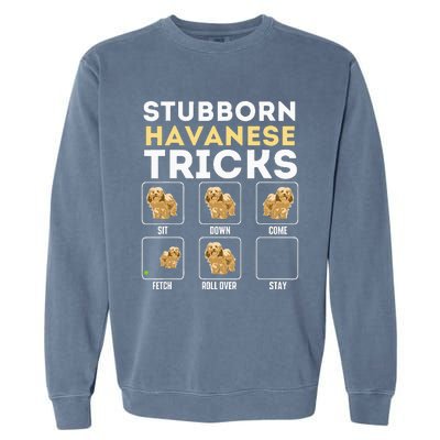 Stubborn Havanese Tricks Cuban Havaneser Havanezer Garment-Dyed Sweatshirt