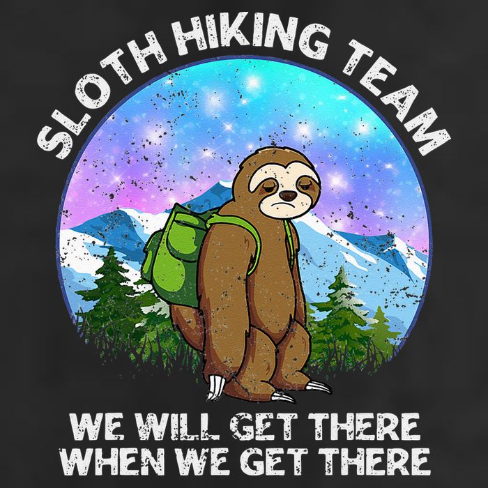 Sloth Hiking Team Funny Sloth Hiking Lover Adult Drive Performance Visor