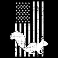 Squirrel Hunting Us Flag Squirrel Hunter Great Gift Women's Crop Top Tee