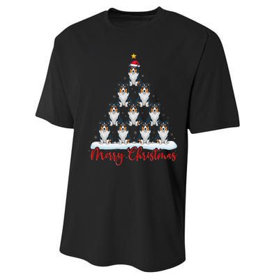 Santa Hat Ugly Xmas Funny Border Collie Dog Christmas Tree Performance Sprint T-Shirt