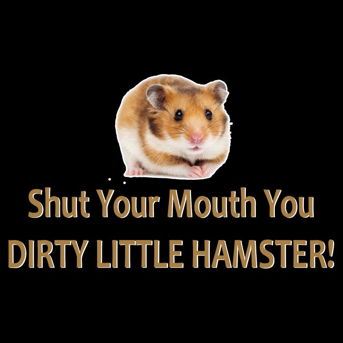 Shut Your Mouth You Dirty Little Hamster Long Sleeve Shirt