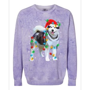 Santa Hat Xmas Lighting Siberian Husky Christmas Gift Colorblast Crewneck Sweatshirt