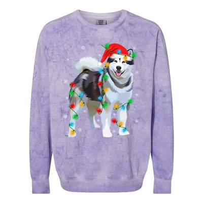 Santa Hat Xmas Lighting Siberian Husky Christmas Gift Colorblast Crewneck Sweatshirt