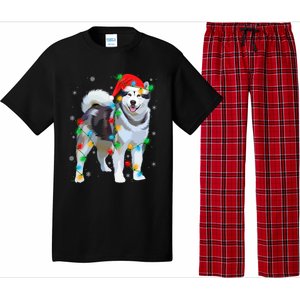 Santa Hat Xmas Lighting Siberian Husky Christmas Gift Pajama Set