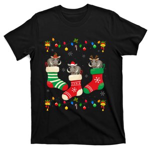 Santa Hat Xmas Light Funny Three Boar in Christmas Socks T-Shirt