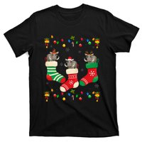 Santa Hat Xmas Light Funny Three Boar in Christmas Socks T-Shirt