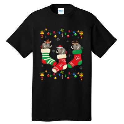 Santa Hat Xmas Light Funny Three Boar in Christmas Socks Tall T-Shirt